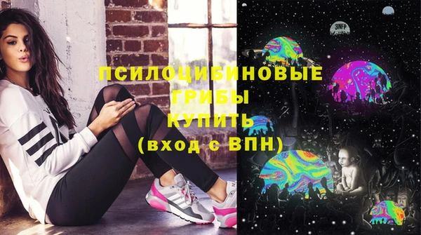 эйфоретик Алзамай