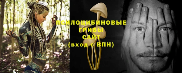 эйфоретик Алзамай