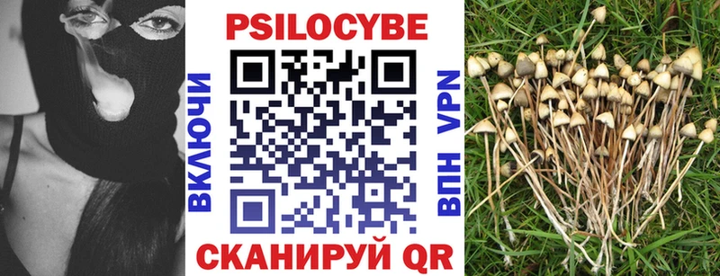 Галлюциногенные грибы Magic Shrooms Купить закладки Горячий Ключ